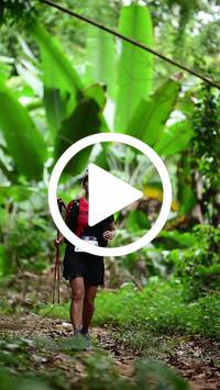 BIB:  <button type="button" onclick="openModal(26824423)" class="btn btn-primary btn-sm float-right" data-toggle="modal" data-target=".modal-high-quality">
                <i class="fa fa-download"></i> Download
                </button>